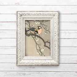 【NO.556】桜の花と野鳥の日本画アートポスター和モダン大正ロマン昭和レトロ和室A4A3A2A1B5B4B3B2ハガキ 5枚目の画像