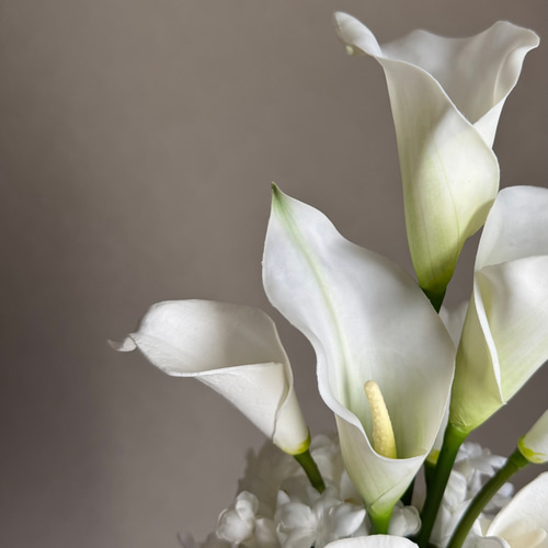 ホワイト胡蝶蘭♪アームブーケ ブートニア付き ウェディングブーケ