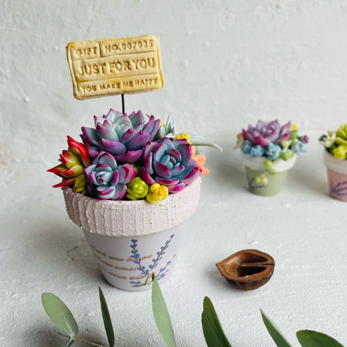 多肉寄せ植え♡ラベンダー鉢♪エケベリア 樹脂粘土 2号 多肉植物 Tea