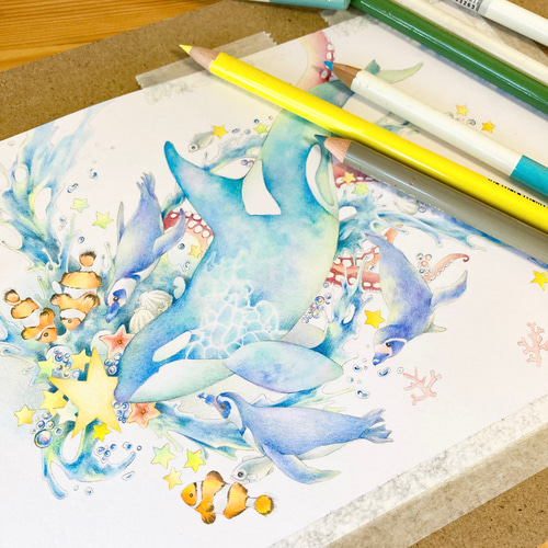 シャチと海の生き物 原画一点ものイラスト A5サイズ イラスト falso