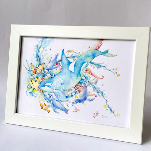 シャチと海の生き物 原画一点ものイラスト A5サイズ イラスト falso