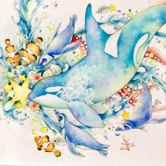 低価，定番 シャチと海の生き物 原画一点ものイラスト A5サイズ