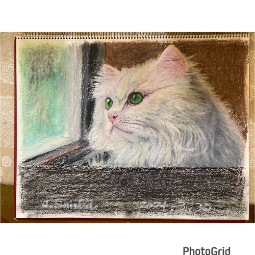 絵画 パステル画 猫 額縁 絵画