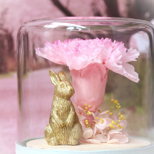 母の日に贈る】うさぎ・ カーネーション プレゼント/ギフト