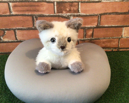 t様オーダーメイド品(マルチカン子猫) 縫いぐるみ 18センチ ぬいぐるみ