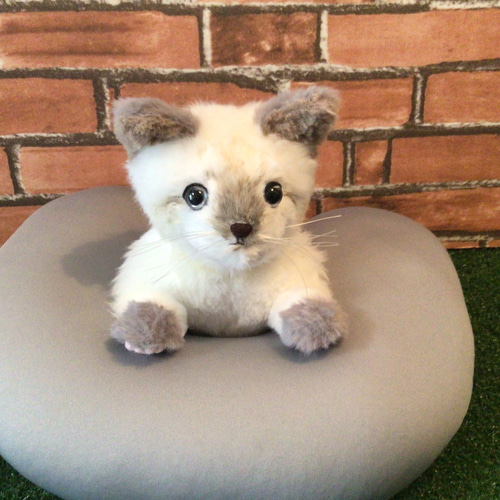 t様オーダーメイド品(マルチカン子猫) 縫いぐるみ 18センチ