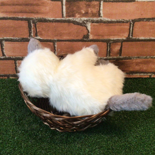 t様オーダーメイド品(マルチカン子猫) 縫いぐるみ 18センチ ぬいぐるみ