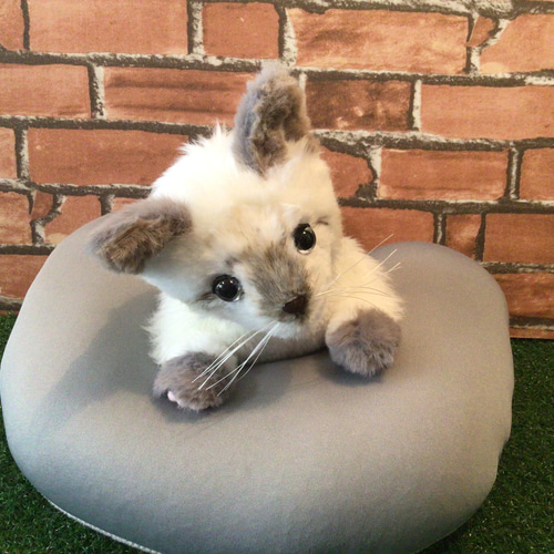 t様オーダーメイド品(マルチカン子猫) 縫いぐるみ 18センチ