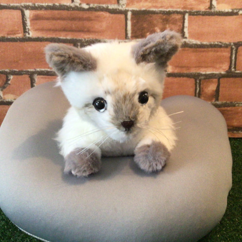 まるぜん。ページ　ぬいぐるみオーダー m96414559682_1.jpg?1686506095