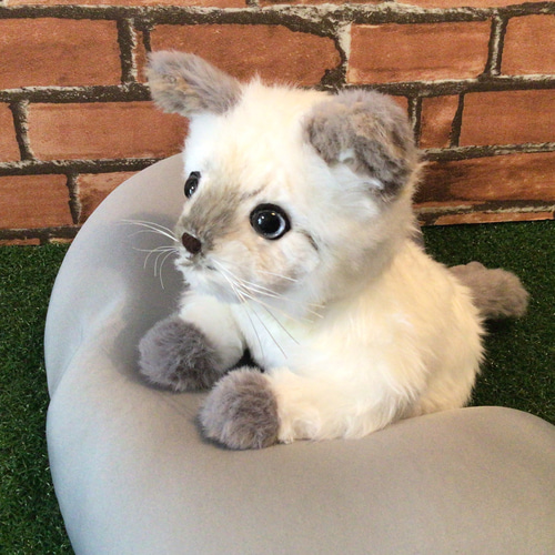 t様オーダーメイド品(マルチカン子猫) 縫いぐるみ 18センチ