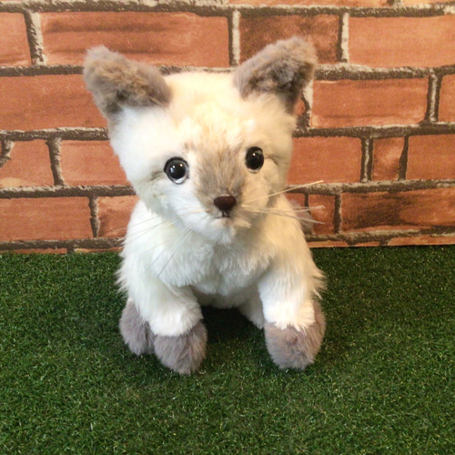 t様オーダーメイド品(マルチカン子猫) 縫いぐるみ 18センチ ぬいぐるみ