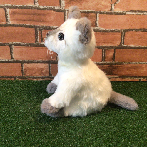 t様オーダーメイド品(マルチカン子猫) 縫いぐるみ 18センチ ぬいぐるみ