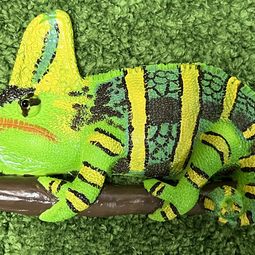 エボシカメレオン キーホルダー キーホルダー reptiles kotori 通販