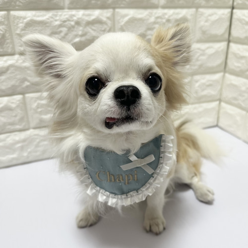 犬 お名前スタイ 犬 ペット服・アクセサリー pupipuppy 通販 17501386