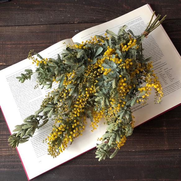 saleミモザ素材用 25～40cm5本セット スワッグ ドライフラワー 花材  