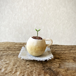 8632.bud 粘土の鉢植え マグカップ 1枚目の画像