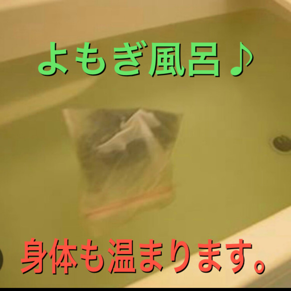 大セール中　乾燥よもぎ　100g以上　よもぎ　福岡県産　よもぎ蒸し　よもぎ入浴剤 5枚目の画像