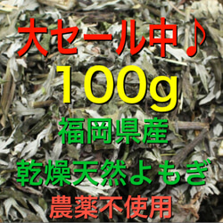 大セール中　乾燥よもぎ　100g以上　よもぎ　福岡県産　よもぎ蒸し　よもぎ入浴剤 1枚目の画像