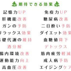 お試し♪ モリンガ茶　3g×10個　健康茶　よもぎ茶　よもぎ蒸し　乾燥よもぎ 10枚目の画像