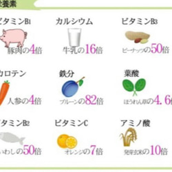 お試し♪ モリンガ茶　3g×10個　健康茶　よもぎ茶　よもぎ蒸し　乾燥よもぎ 11枚目の画像