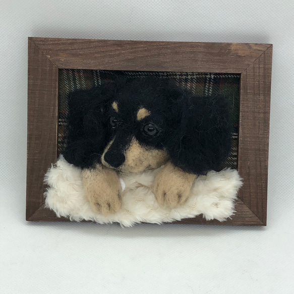 かずちゃん様専用　愛犬さんのオーダーフレーム　愛猫さんプラス1000円で製作可能です　うちの子 8枚目の画像