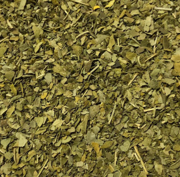 モリンガ茶　3g×30個　健康茶　健康茶　野草茶　ミラクルツリー 6枚目の画像