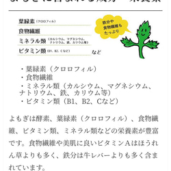 よもぎ茶　100g 野草茶　健康茶　徳島県産　温活　妊活 6枚目の画像