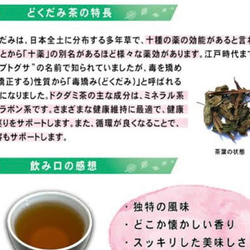 お試し2g×10 どくだみ茶　ドクダミ茶　野草茶　健康茶　農薬不使用　温活　妊活 6枚目の画像