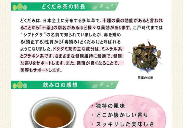 お試し2g×10 どくだみ茶　ドクダミ茶　野草茶　健康茶　農薬不使用　温活　妊活 6枚目の画像