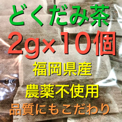 お試し2g×10 どくだみ茶　ドクダミ茶　野草茶　健康茶　農薬不使用　温活　妊活 1枚目の画像