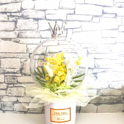 2025販売スタート！ミモザのスワッグ♡ドライフラワーミモザ花束