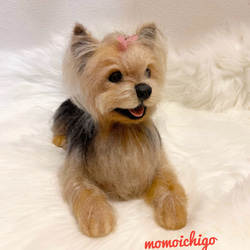 シーズー うちの子オーダー2025 羊毛フェルト momoichigo 羊毛フェルト