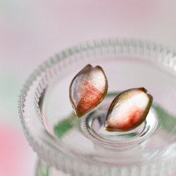 「桜の便り 」耳飾り　金具選択可　 2枚目の画像