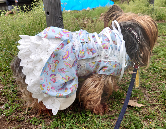 着画追加！着せやすい犬服♪ユニコーン柄のバッスルワンピース♪オーダーメイドで！ 5枚目の画像