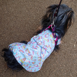 着画追加！着せやすい犬服♪ユニコーン柄スモック♪オーダーメイドで！ 4枚目の画像