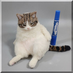 羊毛フェルト　猫　キジシロ猫さん デブ猫　キジ白　ねこ　ネコ　猫フィギュア 11枚目の画像