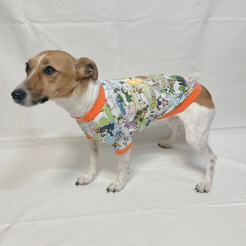 犬種別アメコミ服…ジャック/ボーダー/パピヨン/プードル/ダックス