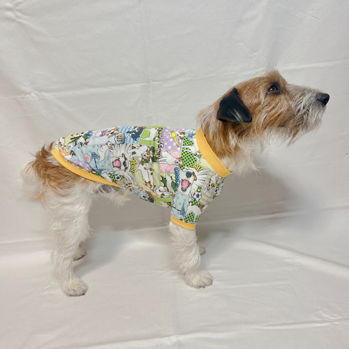 犬種別アメコミ服…ジャック/ボーダー/パピヨン/プードル/ダックス