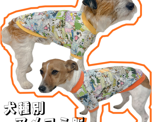 犬服・アクセサリー cocoa 21grd11b-00026.jpg?fitin=720:720