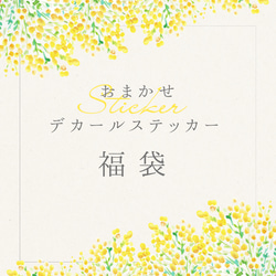 【送料無料】デカール福袋✨ 10枚 1枚目の画像