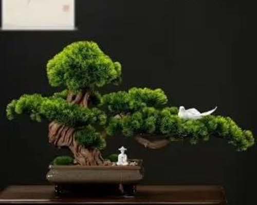 f0253723ecbfc0f93ee29baa6a1686