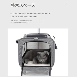 ペットバック 猫用 キャリーバック バック ピンク ブルー ペット用カバン a-272 5枚目の画像