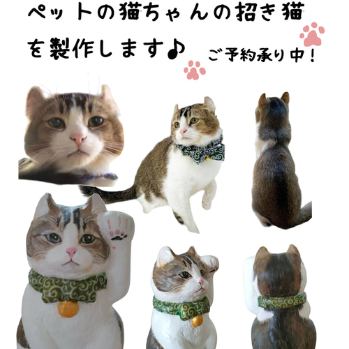 オーダーメイド うちの子招き猫 サイズ8 招き猫 タヌネコ 通販