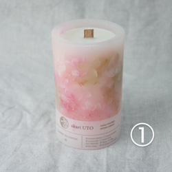 桜 ボタニカルキャンドル Lサイズ　桜の香り 3枚目の画像