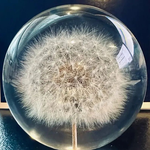 人工クリスタルボール タンポポ クリスタルガラスボール 樹脂レンズ 天然植物標本花 クリスタルボール a-313 10枚目の画像
