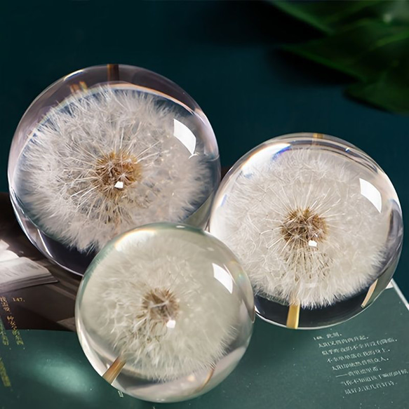 人工クリスタルボール タンポポ クリスタルガラスボール 樹脂レンズ 天然植物標本花 クリスタルボール a-313 3枚目の画像