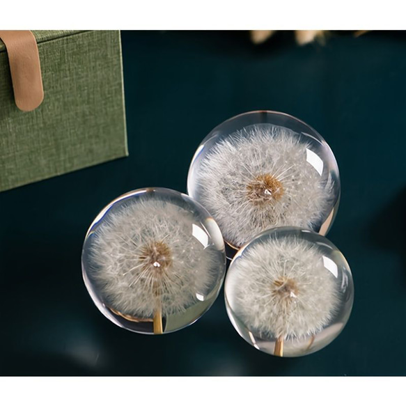 人工クリスタルボール タンポポ クリスタルガラスボール 樹脂レンズ 天然植物標本花 クリスタルボール a-313 7枚目の画像