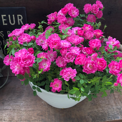 ドイリー1256❤️幸せを呼ぶクローバードイリー✨薔薇とガーベラ