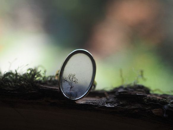 dendritic agate brass ring (shunshuu) 1枚目の画像