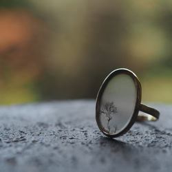 dendritic agate brass ring (shunshuu) 10枚目の画像